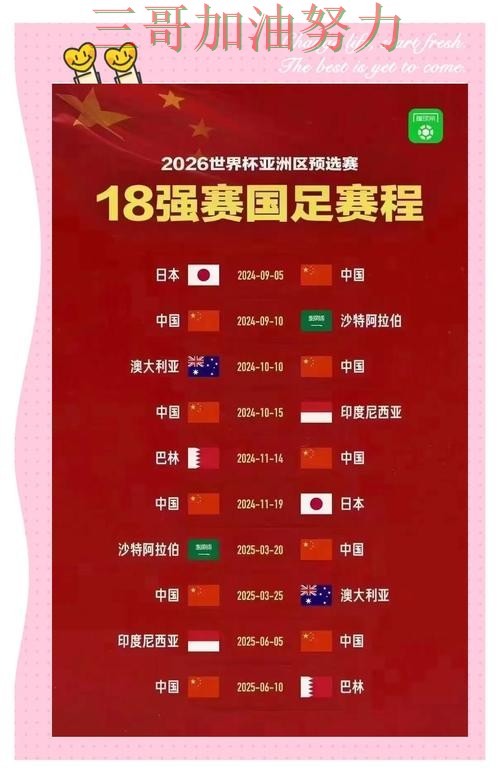 世界杯投注网站大全入口在哪如何选?结合真实体验一次讲透(2026世界杯) 世界杯投注网站大全入口在哪如何选?结合真实体验一次讲透(2026世界杯)